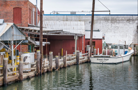 Inside Chesapeake Bay’s Crab Picking Houses: Where Graham & Rollins Crab Meat Begins