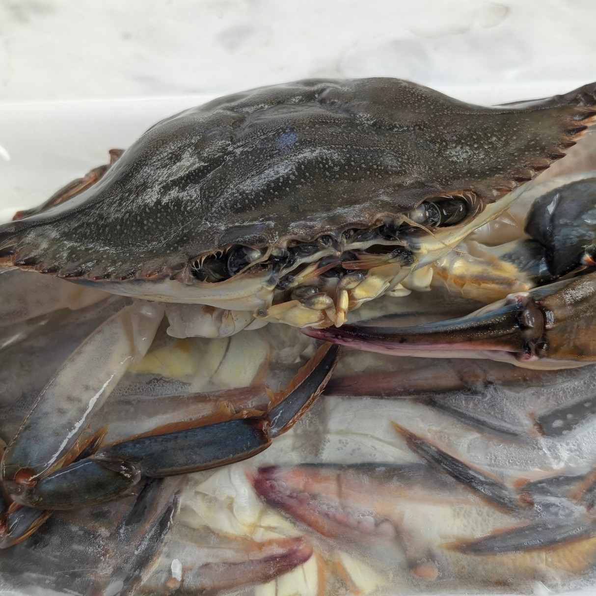 Soft Shell Crabs - Dressed & Frozen