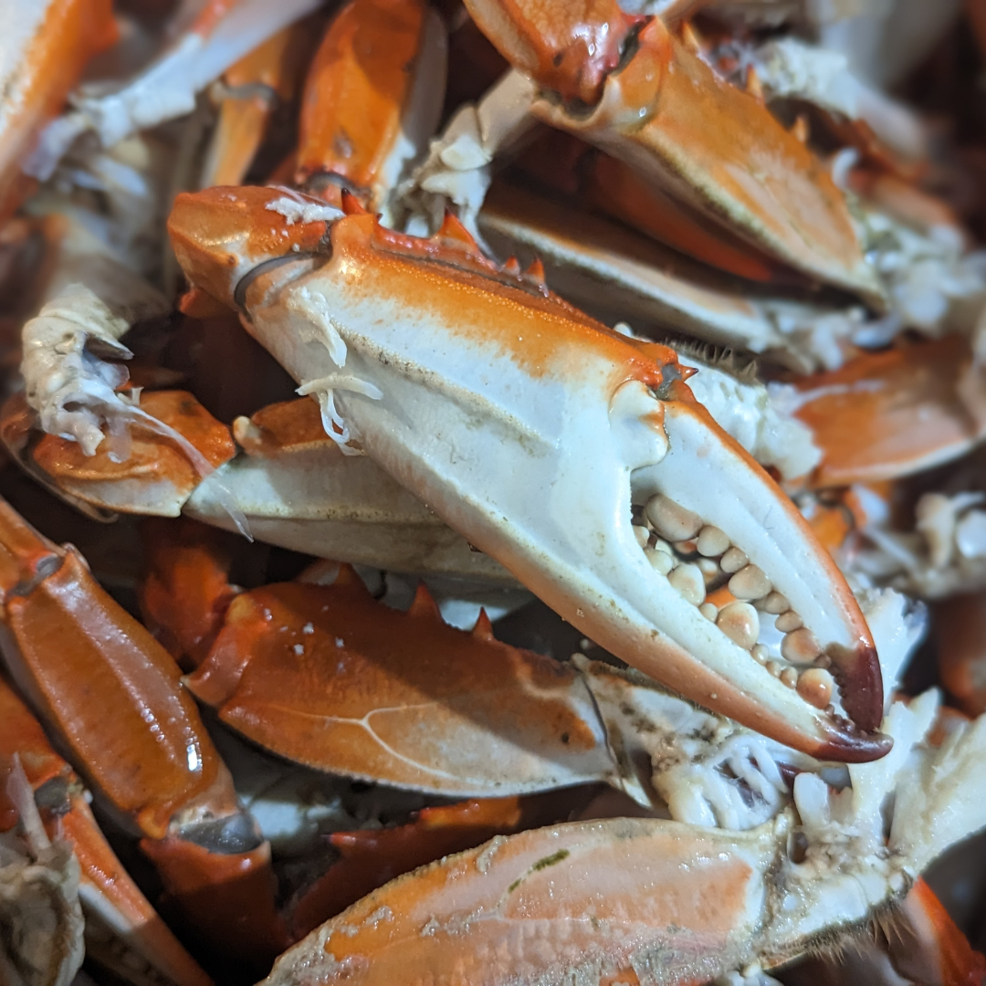 Blue Crab Claws