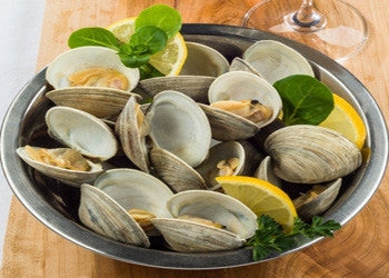 Little Neck Clams - Fresh! - Graham & Rollins | Hampton VA
