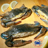 Fresh Dressed Soft Shell Crabs – Chesapeake Bay’s Finest