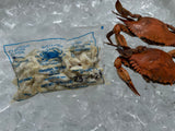 Frozen Jumbo Lump Crab Meat
