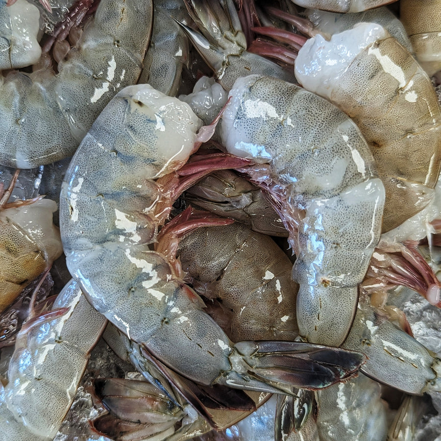 Fresh North Carolina Shrimp