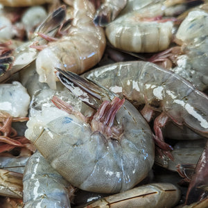 Fresh North Carolina Shrimp