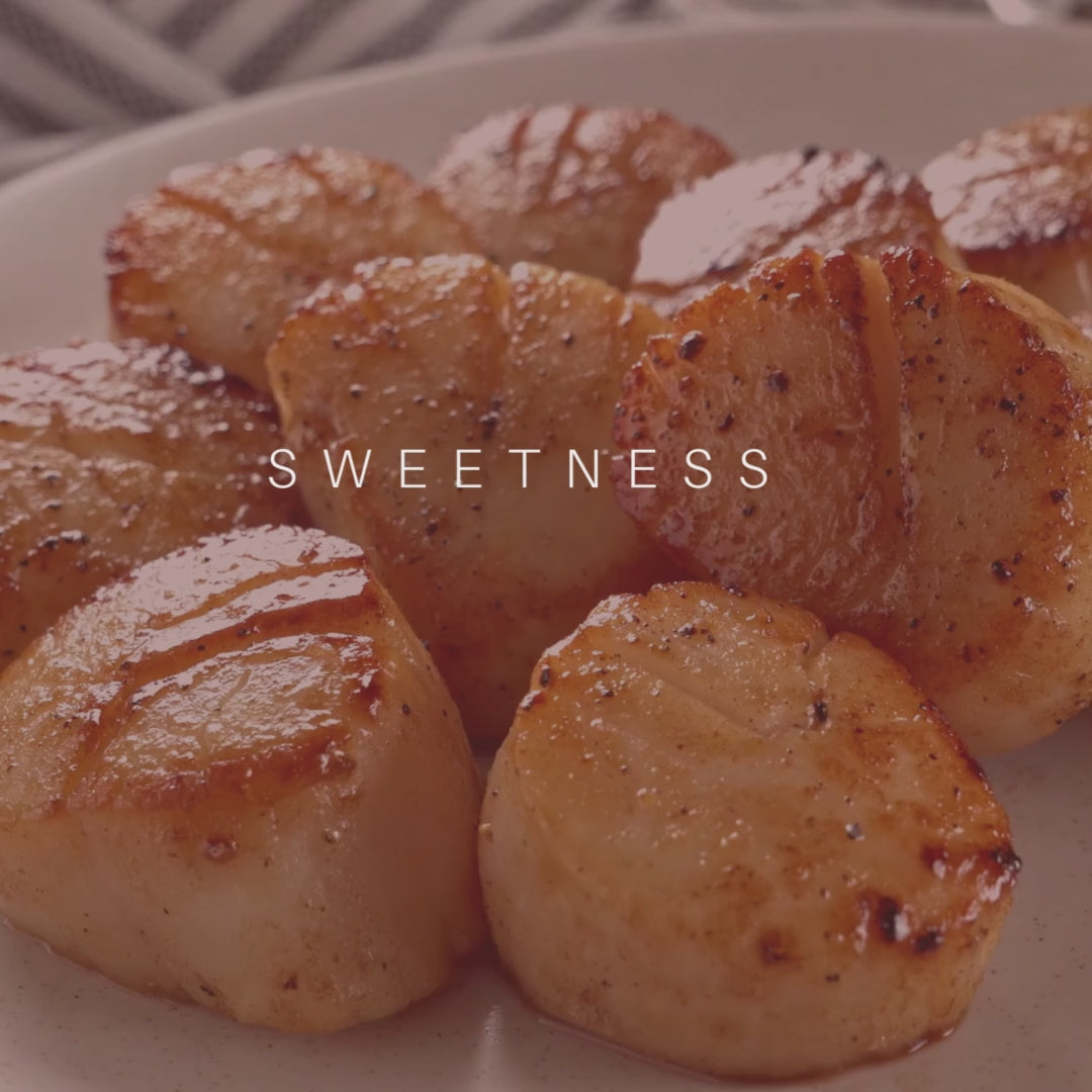Jumbo Sea Scallops - Fresh!