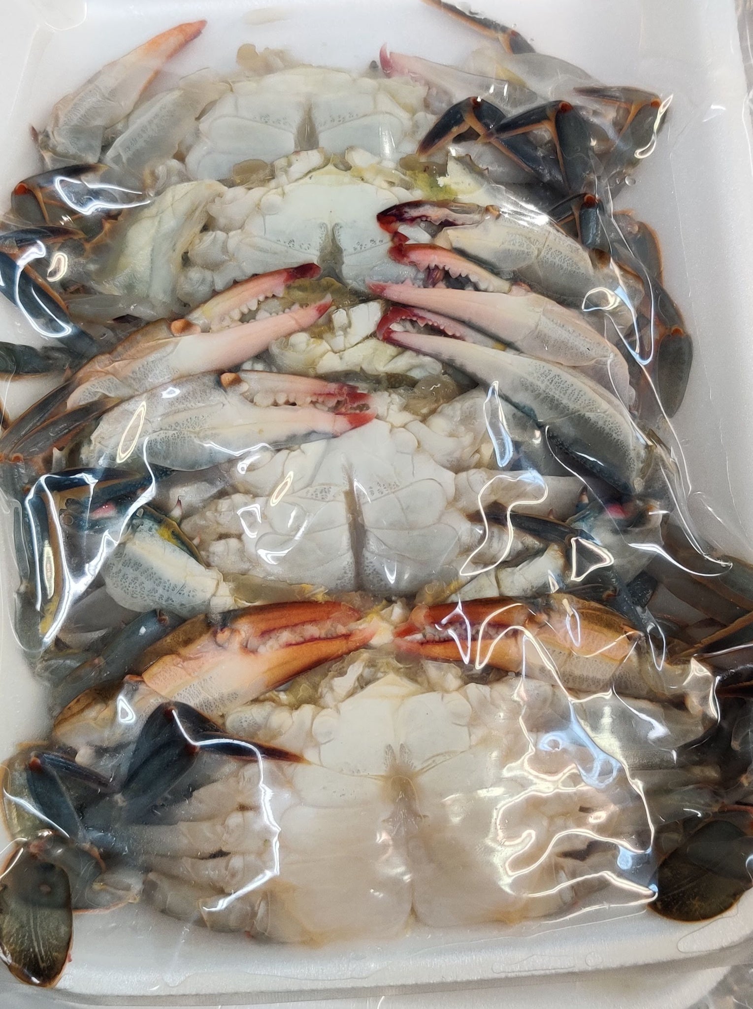 Frozen Soft Shell Crabs – Graham & Rollins, Inc.