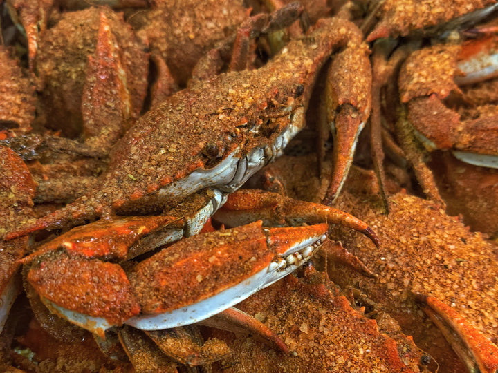 Steamed TITAN Male Hard Crabs