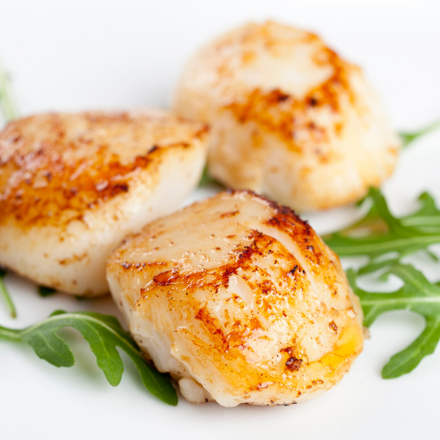 Large Sea Scallops - Fresh