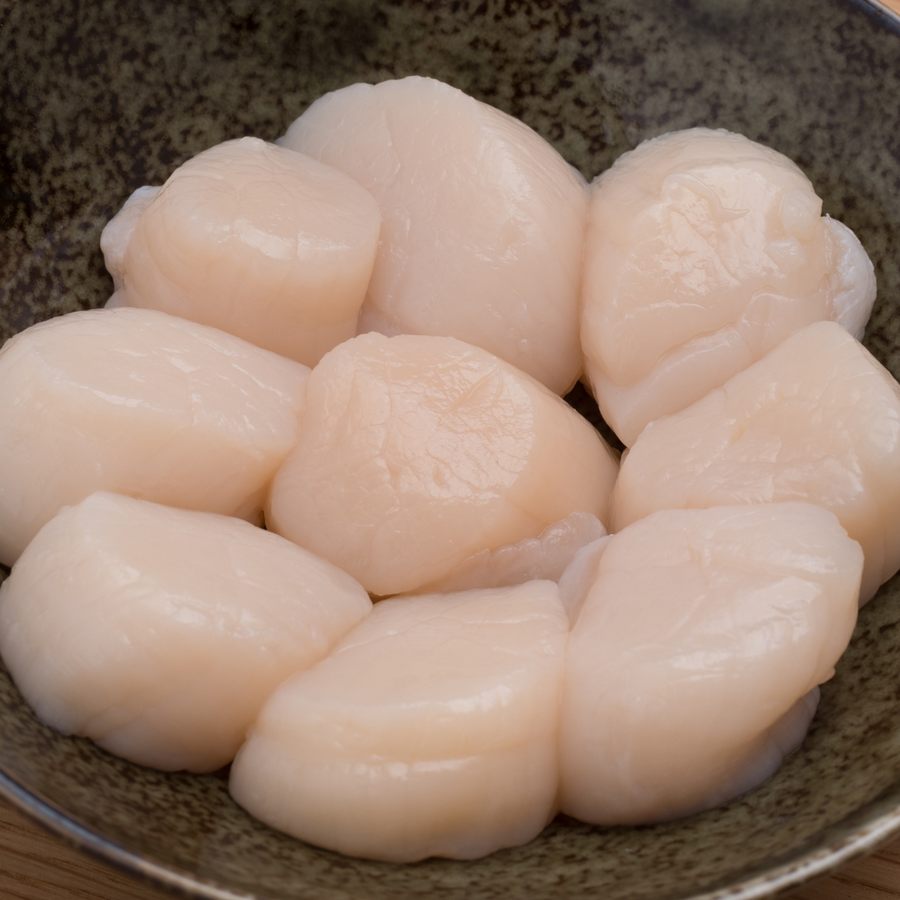 Large Sea Scallops - Fresh