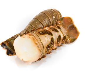 Warm Water Lobster Tails: 2 pack