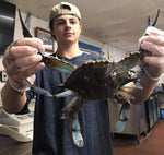 Steamed TITAN Male Hard Crabs